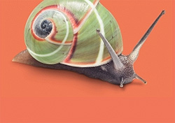 Biologiezentrum Streck die Fhler aus!